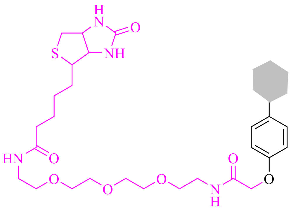 biotin  tagged small molecule