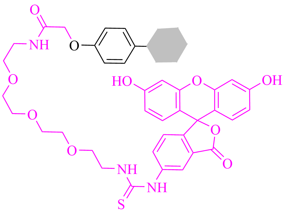 Fluorescent  tagged small molecule