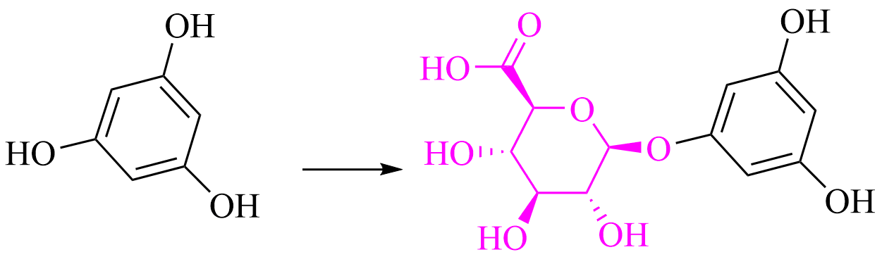 glucuronide metabolite