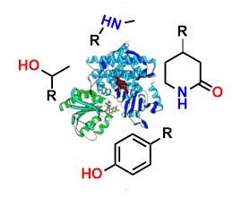 drug metabolite