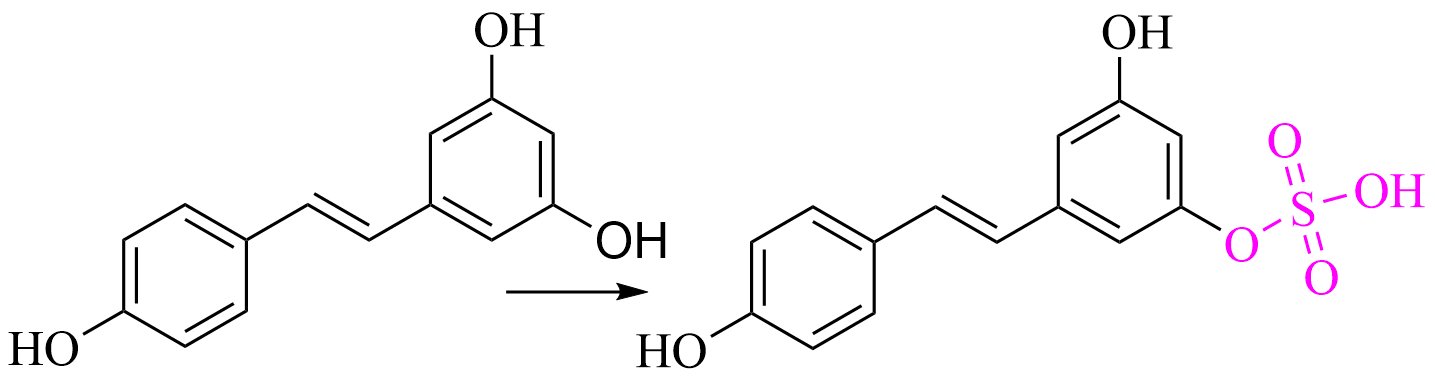 sulfate metabolite