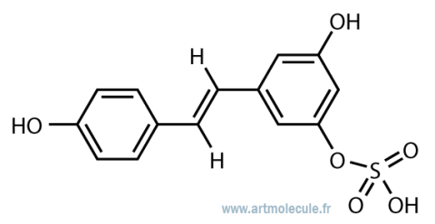 RESVERATROL-3-O-SULFATE (Trans)