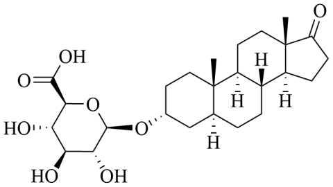 Androsterone-3-glucuronide