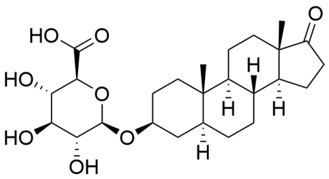 Epi androsterone-beta-glucuronide