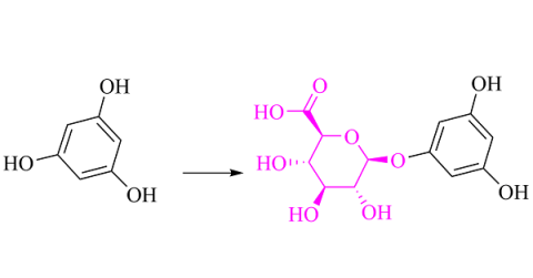 metabolite custom synthesis