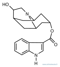 Hydrodolasetron