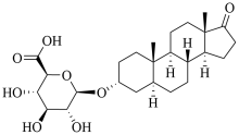 Androsterone-3-glucuronide