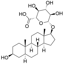 Androstane-3-beta,17-beta-diol glucuronide