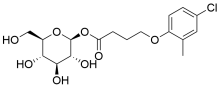 MCPB  GLYCOSIDE