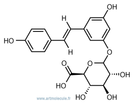 Resveratrol 3-O-glucuronide