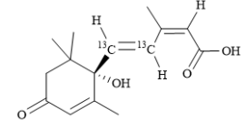 S-(+)-Abscisic acid 13C2