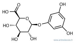 Phloroglucinol-1-beta-O-Glucuronide