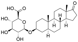 Epi androsterone-beta-glucuronide